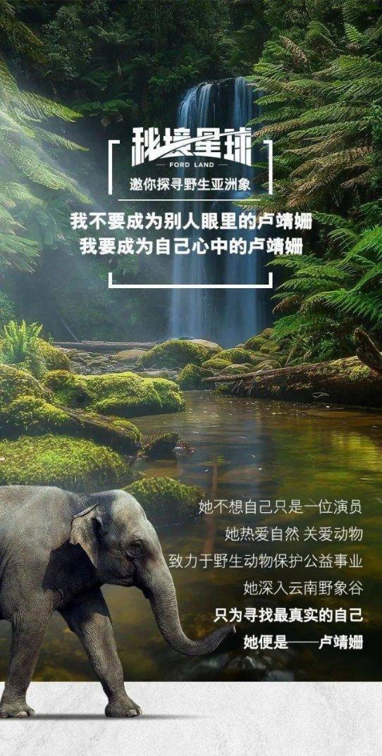 独眼萌怪的爱情