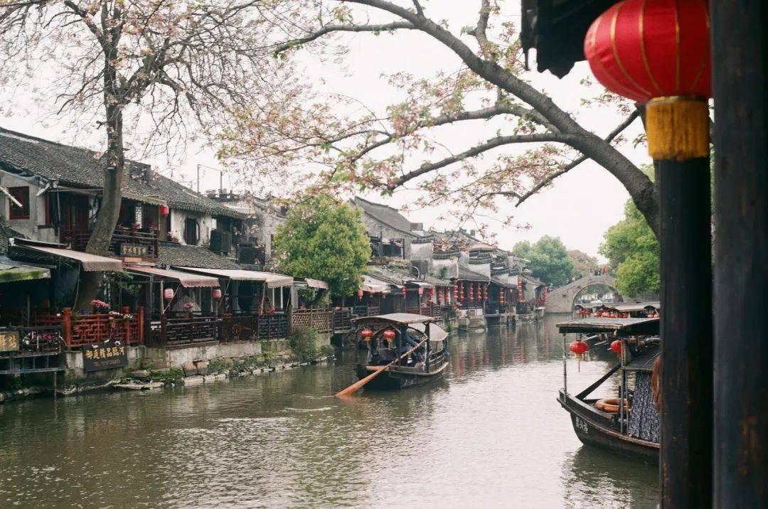 潍坊高密|乡村文化旅游节带火东北乡