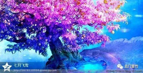 女星林小楼:当红时遭3名歹徒绑架,被劫财劫色,如今57岁仍未婚